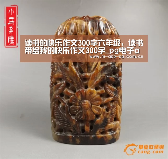 读书的快乐作文300字六年级,读书带给我的快乐作文300字_pg电子app(图3) pg游戏