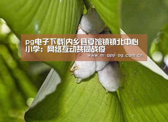 pg电子下载|内乡县夏馆镇镇北中心小学:网络互动共同战疫(图1) pg游戏
