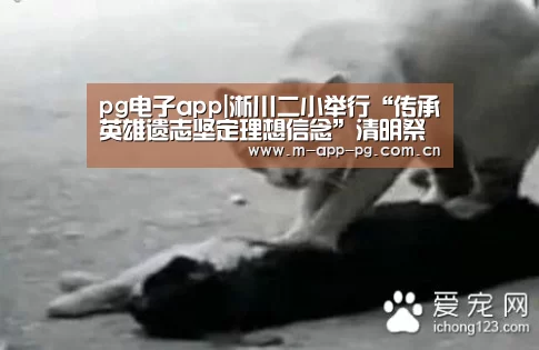 pg电子入口