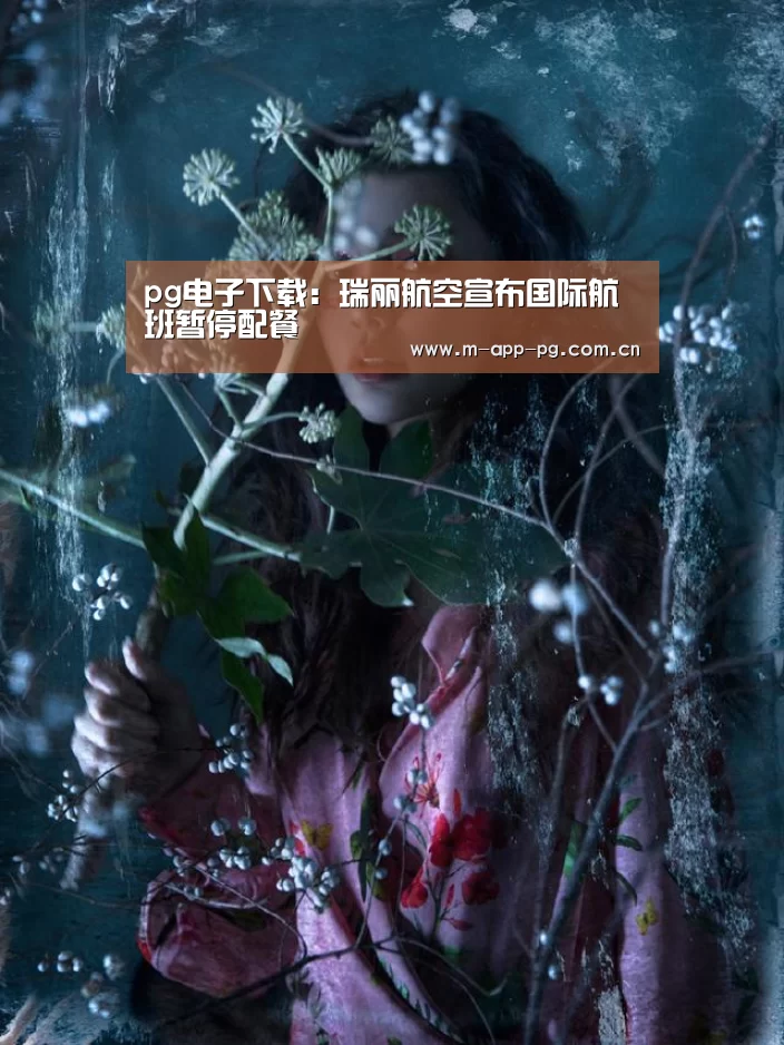 pg电子下载:瑞丽航空宣布国际航班暂停配餐(图1) pg电子入口