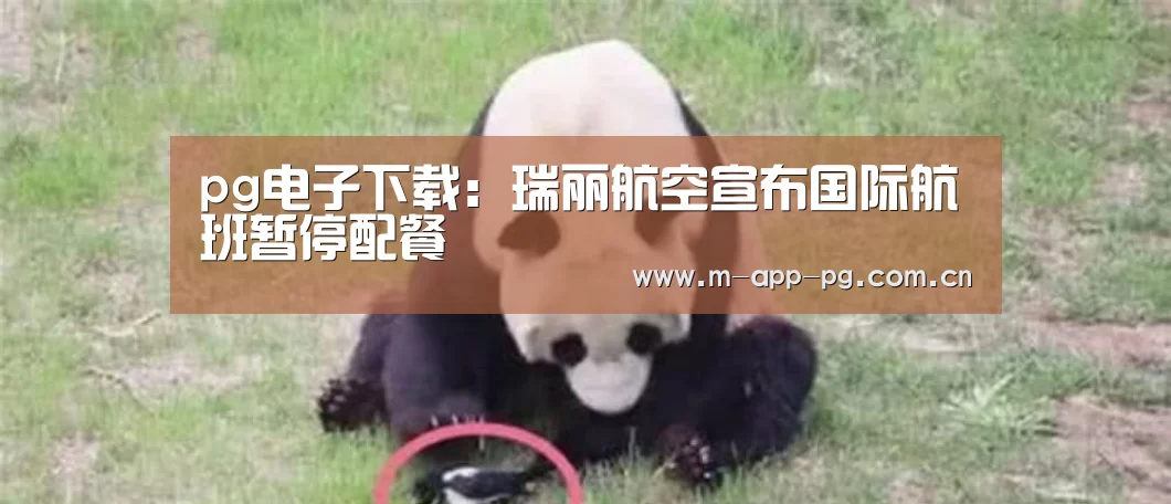 pg电子下载:瑞丽航空宣布国际航班暂停配餐(图2) pg电子下载