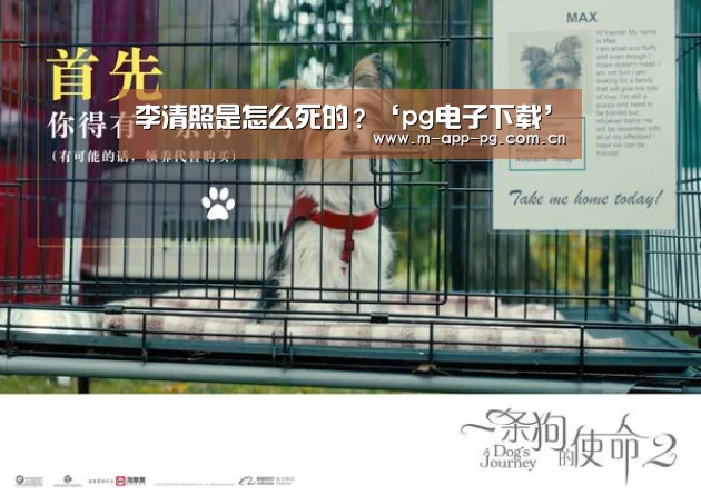 pg电子入口