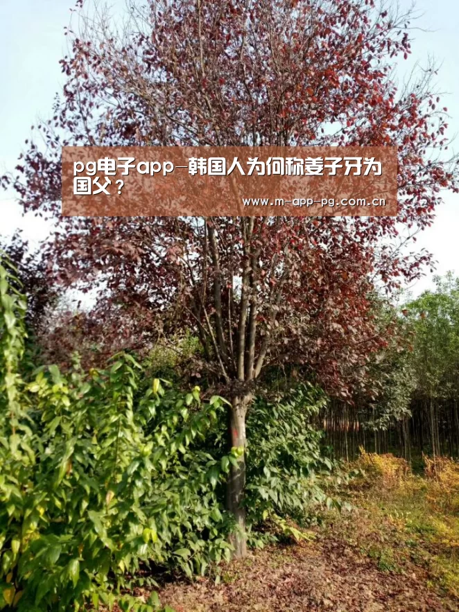 pg游戏