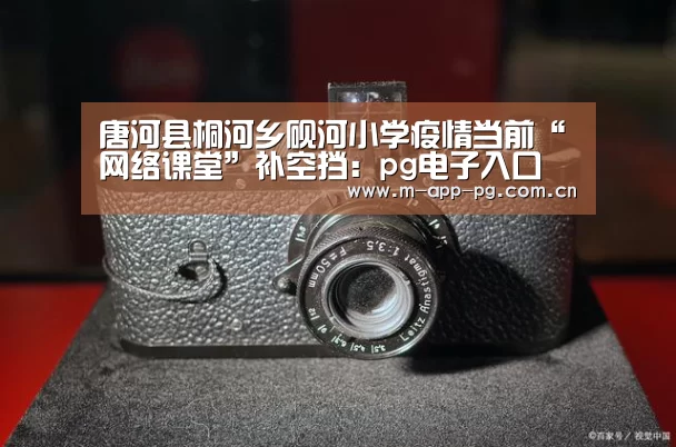 pg电子下载