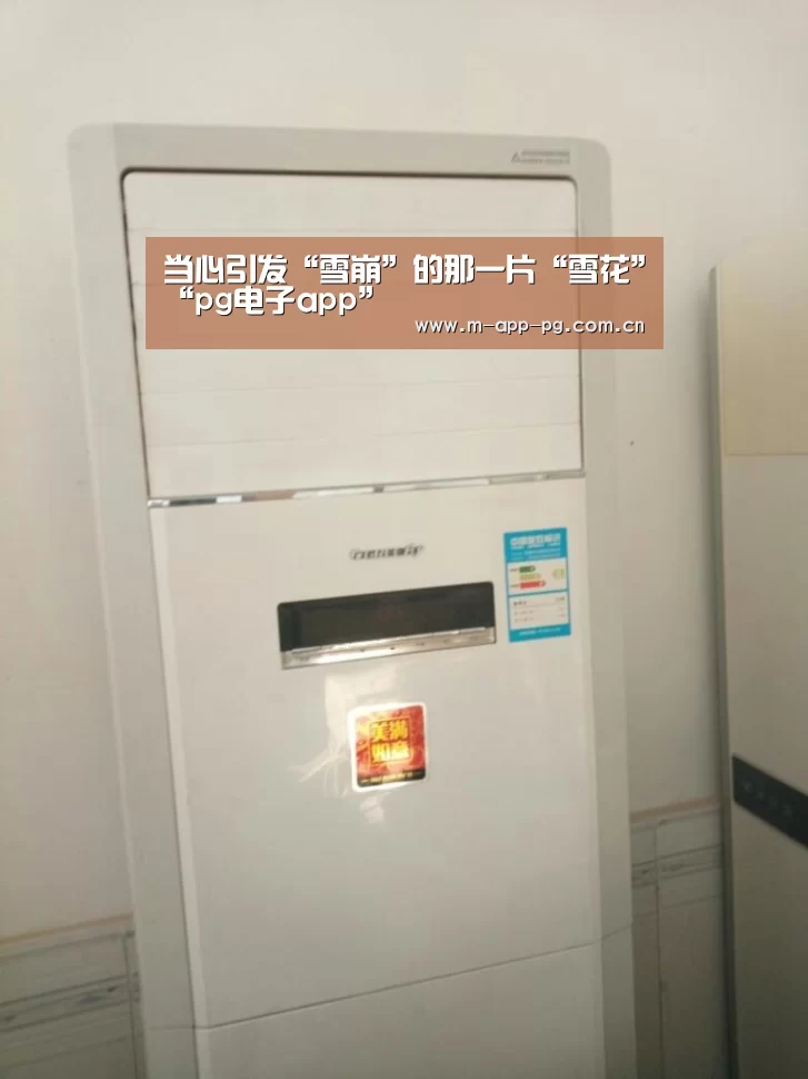pg电子下载
