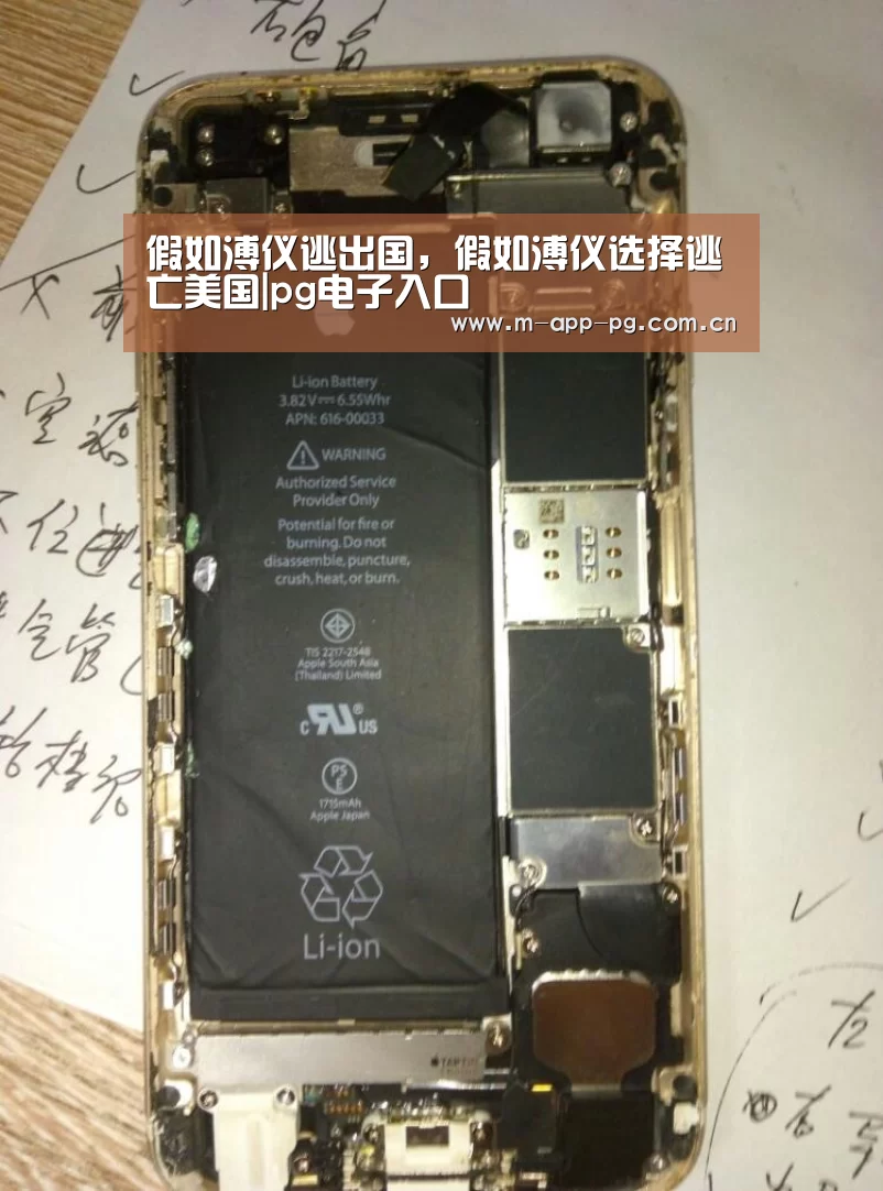 pg电子入口