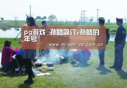pg游戏-孙皓简介,孙皓的年号(图1) pg电子入口