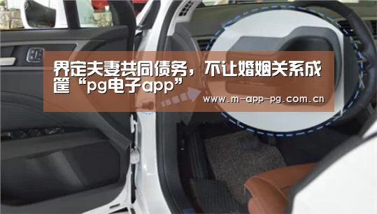 界定夫妻共同债务,不让婚姻关系成筐“pg电子app”(图2) pg游戏