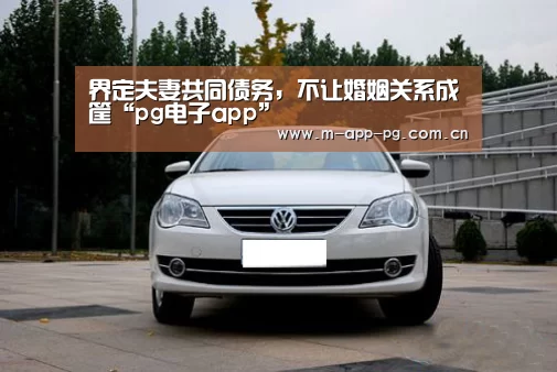 界定夫妻共同债务,不让婚姻关系成筐“pg电子app”(图4) pg游戏