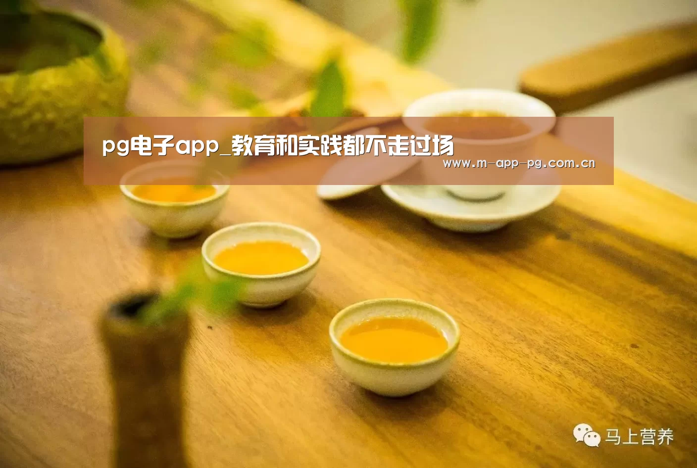 pg电子下载
