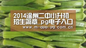 pg电子入口