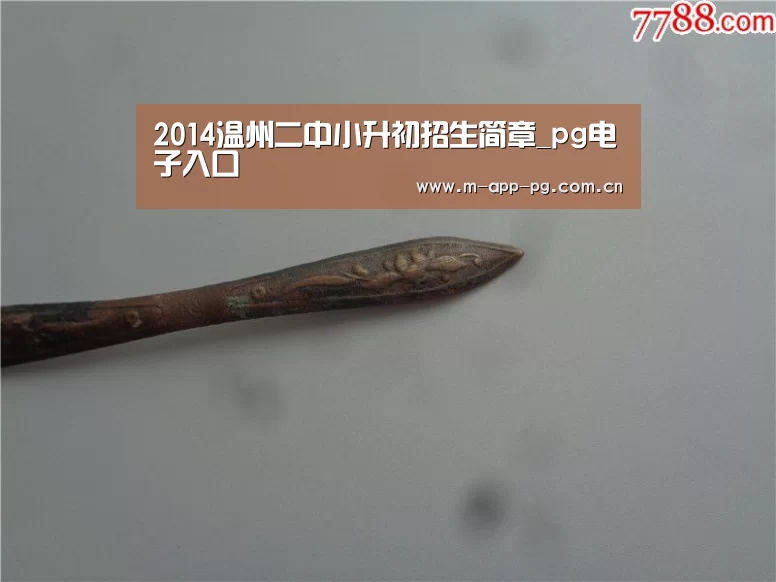 pg电子app