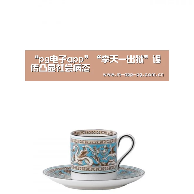 “pg电子app”“李天一出狱”谣传凸显社会病态(图1) pg电子app